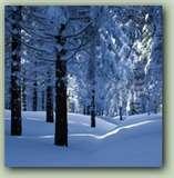 Click on the photo to go to the IL Trails blog